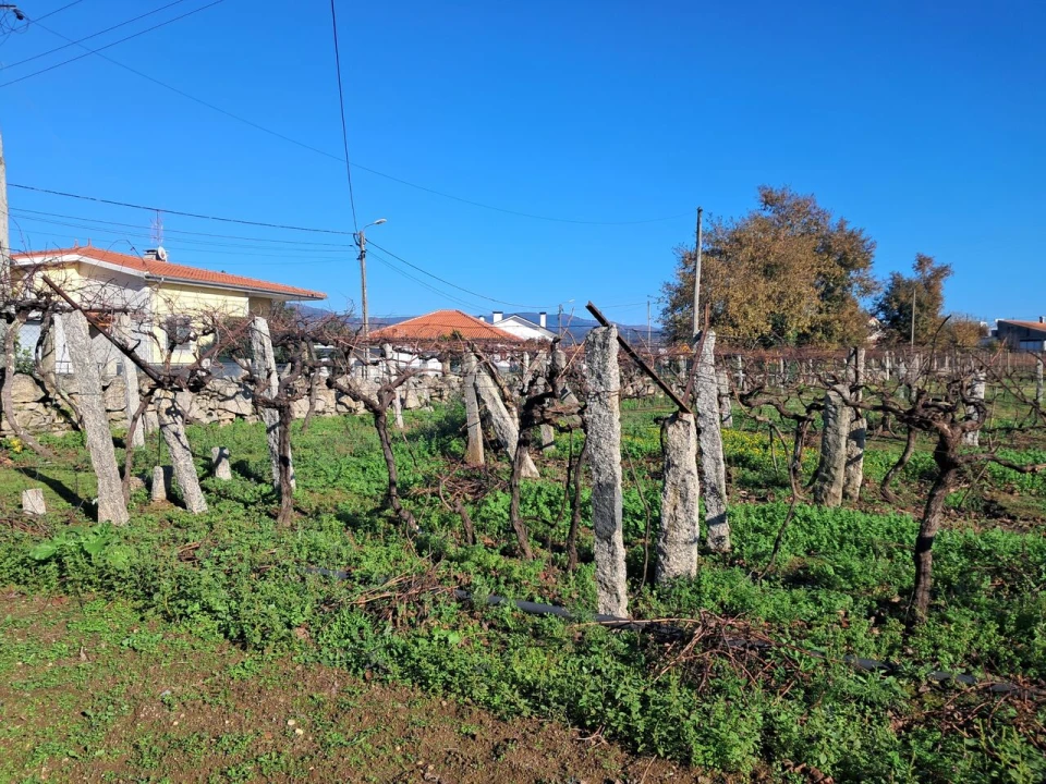 Terreno para Venda em Monção e Troviscoso Foto 3