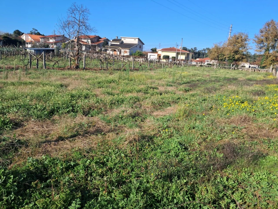 Terreno para Venda em Monção e Troviscoso Foto 9
