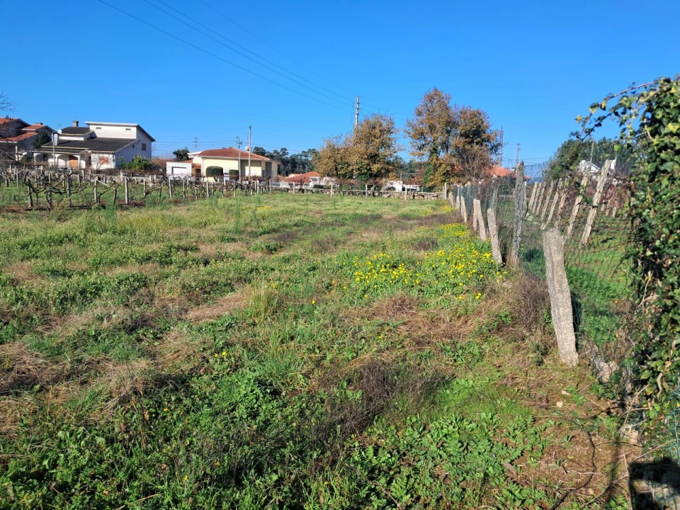 Terreno para Venda em Monção e Troviscoso Foto 10