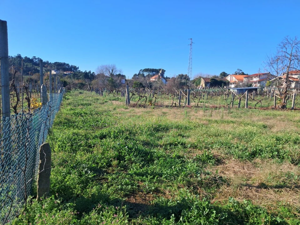 Terreno para Venda em Monção e Troviscoso Foto 11