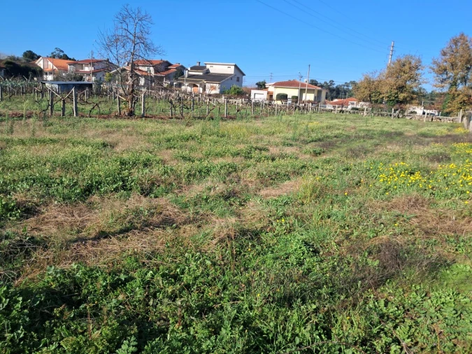 Terreno para Venda em Monção e Troviscoso Foto 1