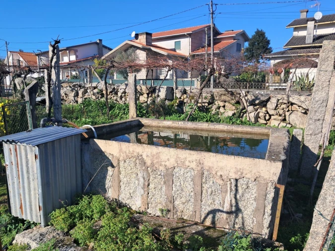 Terreno para Venda em Monção e Troviscoso Foto 6