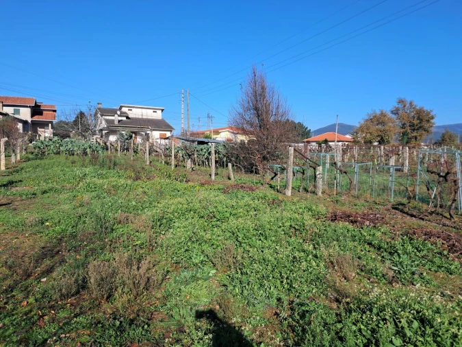 Terreno para Venda em Monção e Troviscoso Foto 8