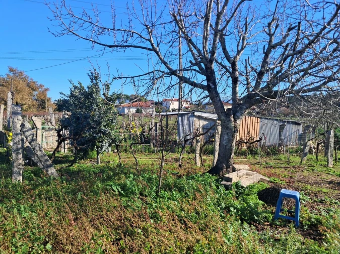 Terreno para Venda em Monção e Troviscoso Foto 14