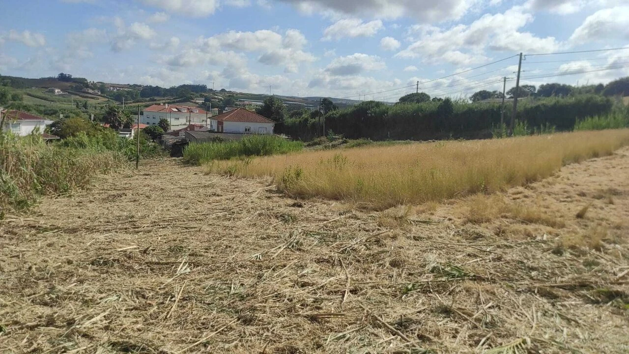 Terreno para Venda em Lourinhã e Atalaia Foto 5