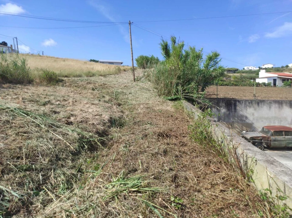 Terreno para Venda em Lourinhã e Atalaia Foto 6