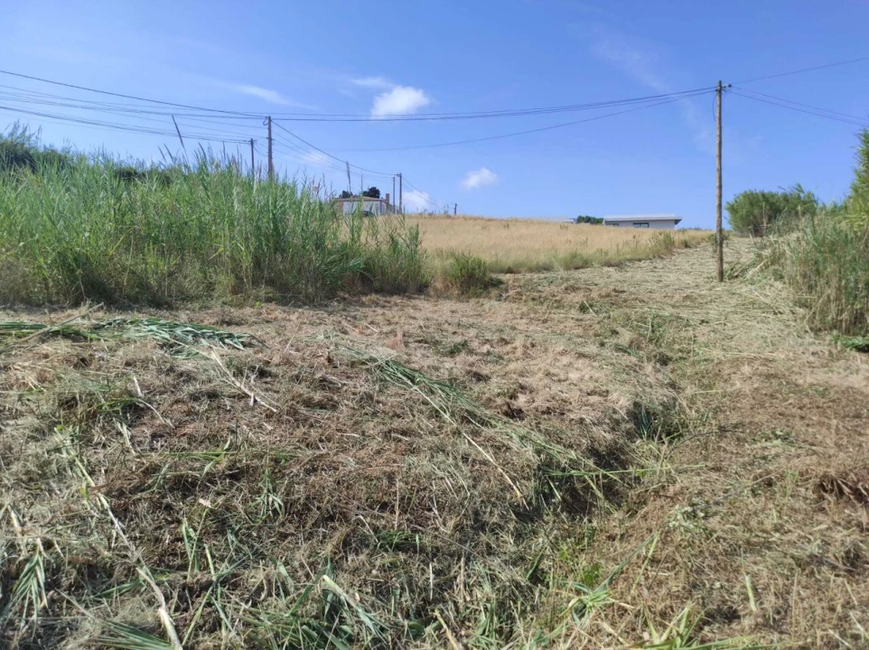Terreno para Venda em Lourinhã e Atalaia Foto 8