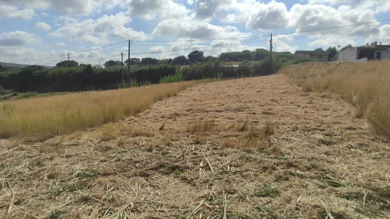 Terreno para Venda em Lourinhã e Atalaia Foto 9