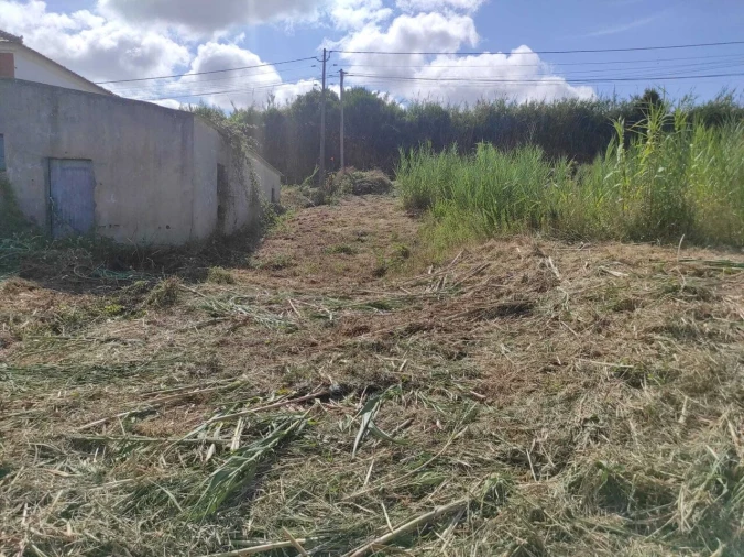 Terreno para Venda em Lourinhã e Atalaia Foto 4