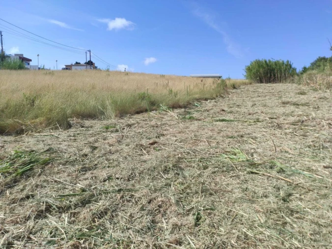 Terreno para Venda em Lourinhã e Atalaia Foto 7
