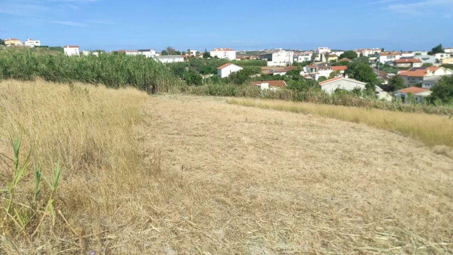 Terreno para Venda em Lourinhã e Atalaia Foto 10