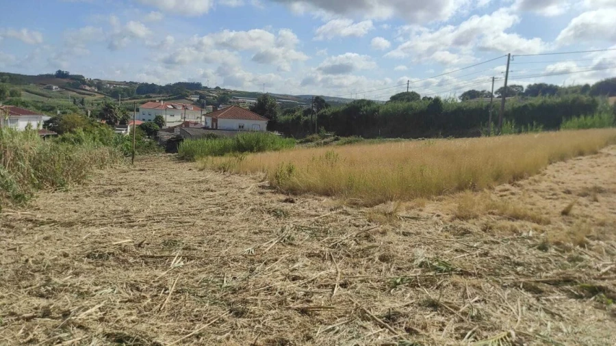 Terreno para Venda em Lourinhã e Atalaia Foto 11