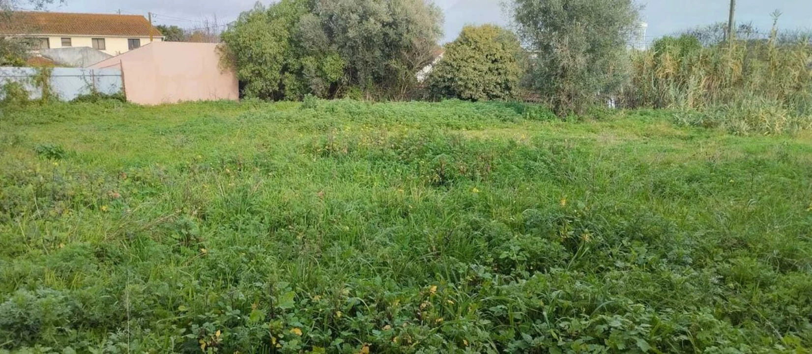 Terreno para Venda em Achete, Azoia de Baixo e Póvoa de Santarém Foto 1