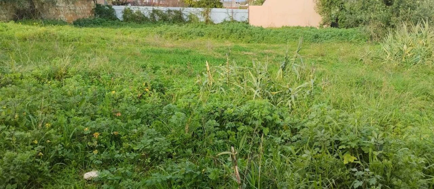 Terreno para Venda em Achete, Azoia de Baixo e Póvoa de Santarém Foto 3