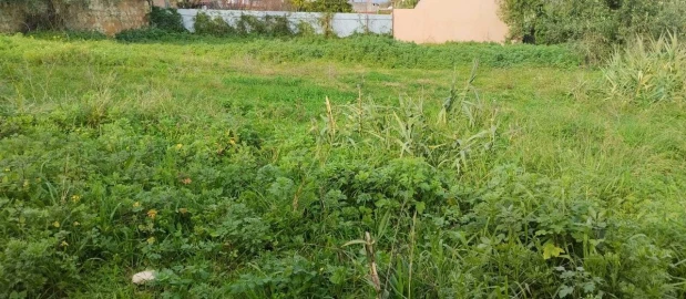 Terreno para Venda em Achete, Azoia de Baixo e Póvoa de Santarém