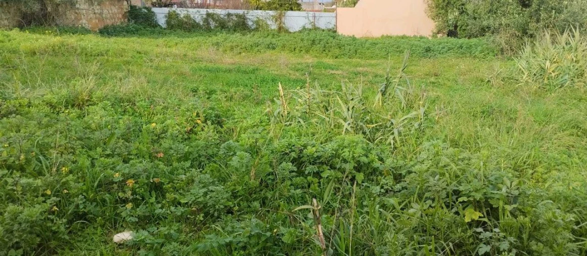 Terreno para Venda em Achete, Azoia de Baixo e Póvoa de Santarém Foto 3