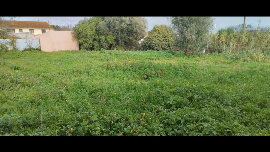 Terreno para Venda em Achete, Azoia de Baixo e Póvoa de Santarém