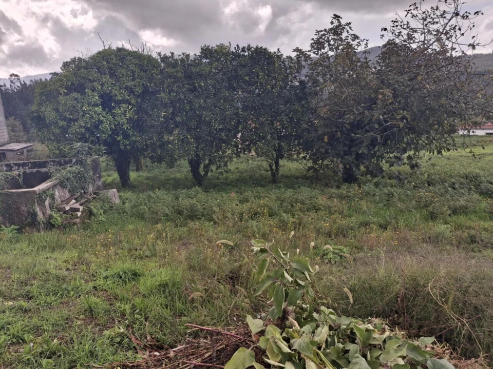 Moradia T3 para Venda em Ceivães e Badim Foto 23