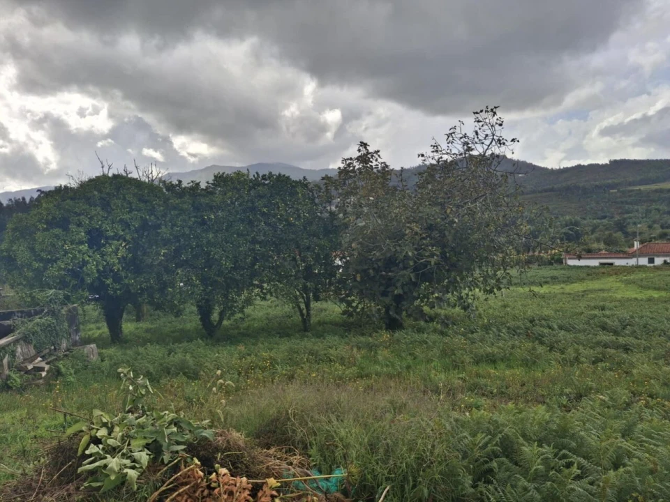 Moradia T3 para Venda em Ceivães e Badim Foto 29