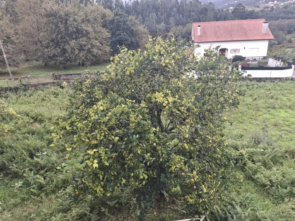 Moradia T3 para Venda em Ceivães e Badim Foto 31