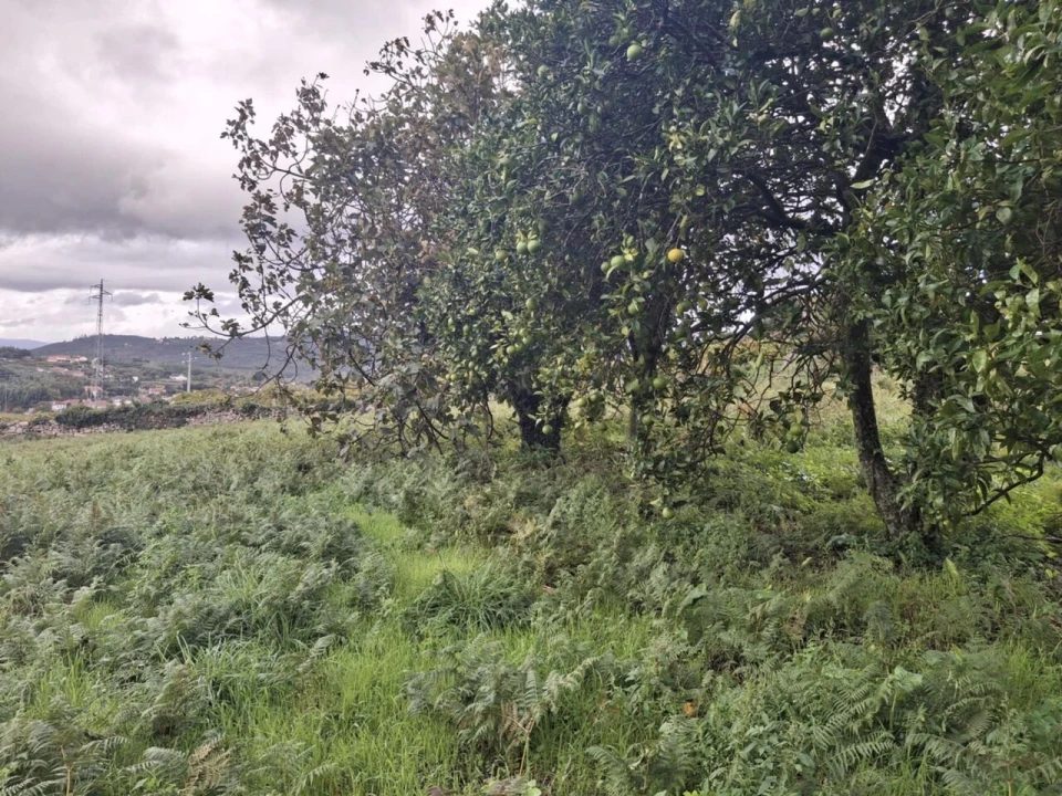 Moradia T3 para Venda em Ceivães e Badim Foto 32