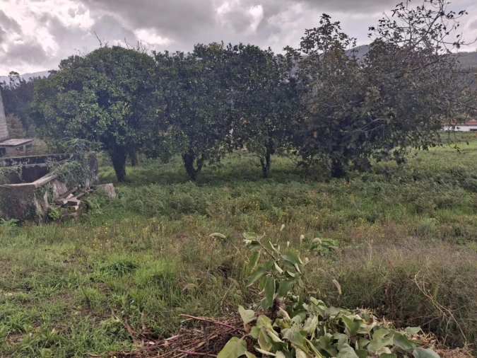 Moradia T3 para Venda em Ceivães e Badim Foto 23