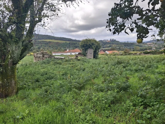 Moradia T3 para Venda em Ceivães e Badim Foto 26