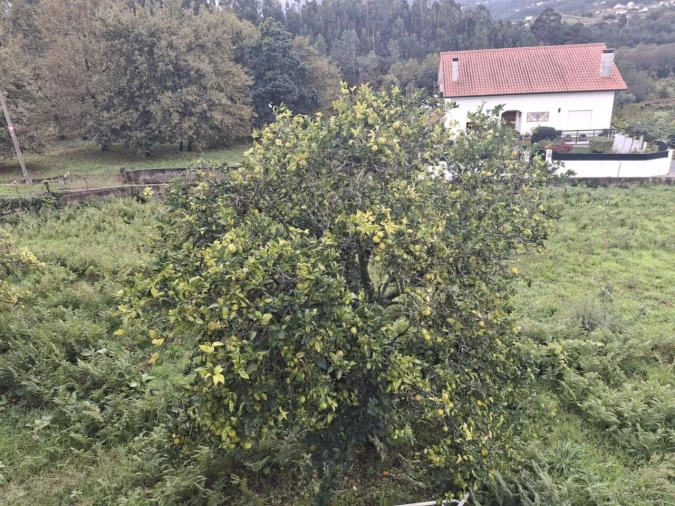 Moradia T3 para Venda em Ceivães e Badim Foto 31