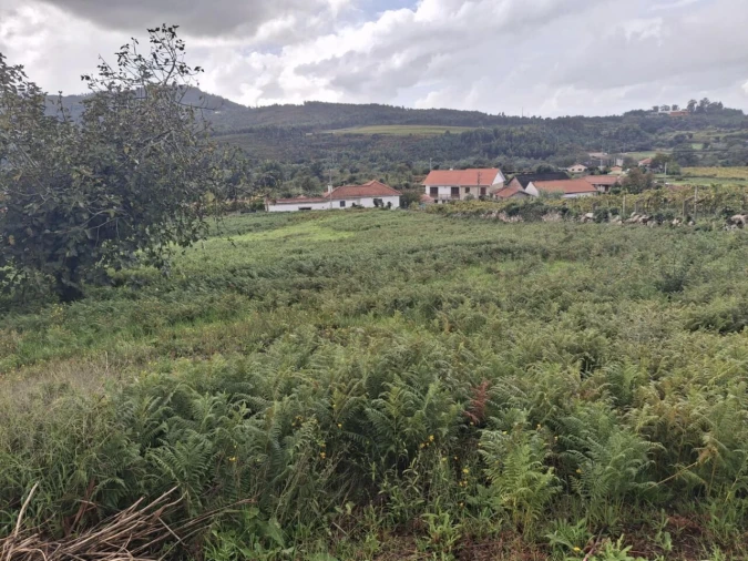Moradia T3 para Venda em Ceivães e Badim Foto 35