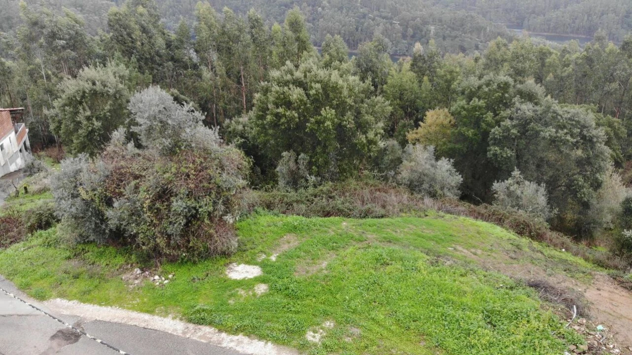 Terreno para Venda em Serra e Junceira Foto 2