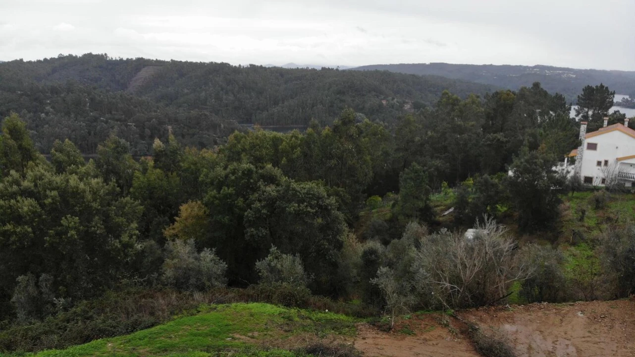 Terreno para Venda em Serra e Junceira Foto 4