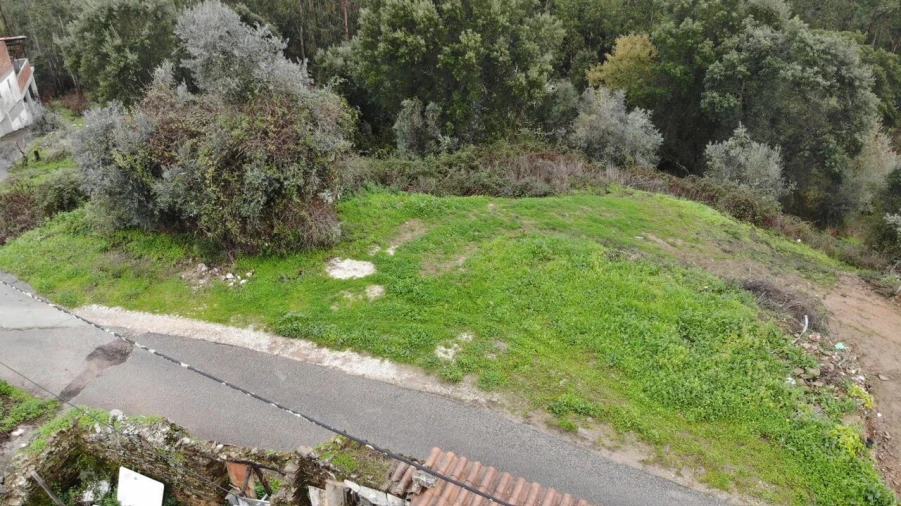 Terreno para Venda em Serra e Junceira Foto 4