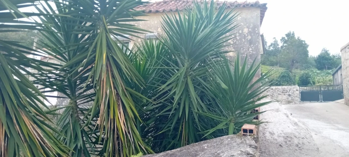 Moradia T2 para Venda em Santa Maria Maior e Monserrate e Meadela Foto 2