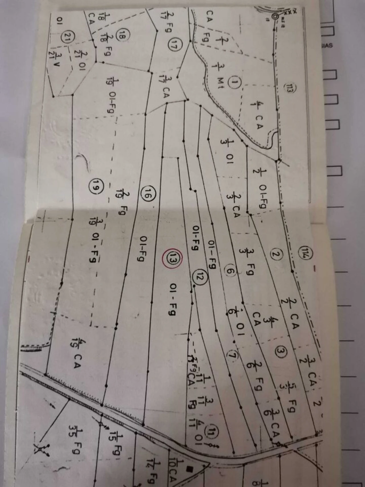 Terreno para Venda em Brogueira, Parceiros de Igreja e Alcorochel Foto 1