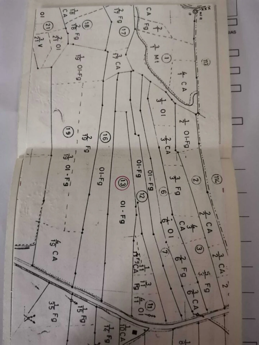 Terreno para Venda em Brogueira, Parceiros de Igreja e Alcorochel Foto 1