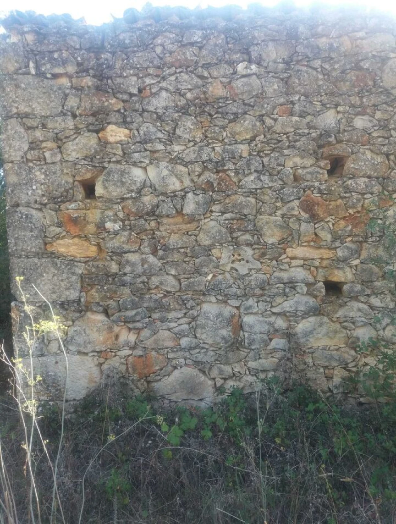 Terreno para Venda em Brogueira, Parceiros de Igreja e Alcorochel Foto 9
