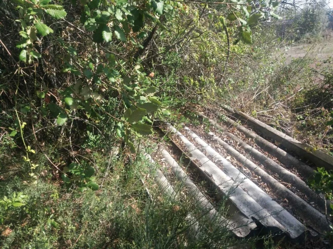 Terreno para Venda em Brogueira, Parceiros de Igreja e Alcorochel Foto 6