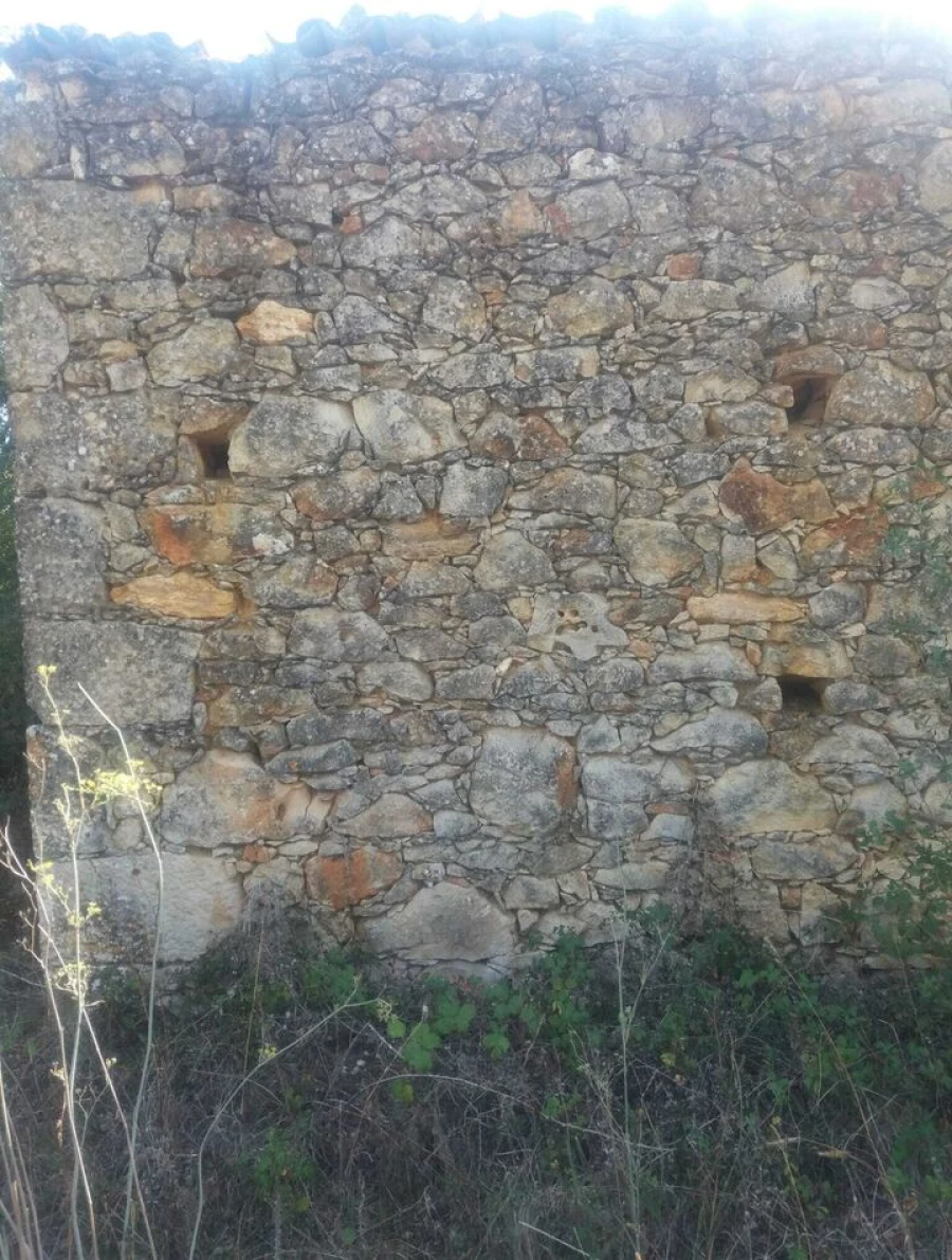Terreno para Venda em Brogueira, Parceiros de Igreja e Alcorochel Foto 9