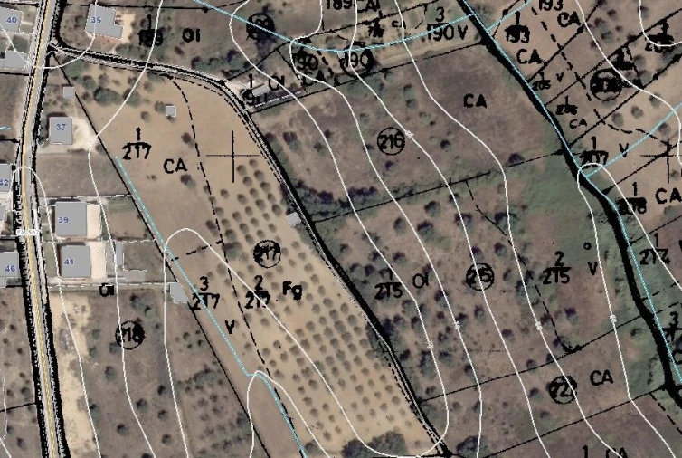 Terreno para Venda em Brogueira, Parceiros de Igreja e Alcorochel Foto 2