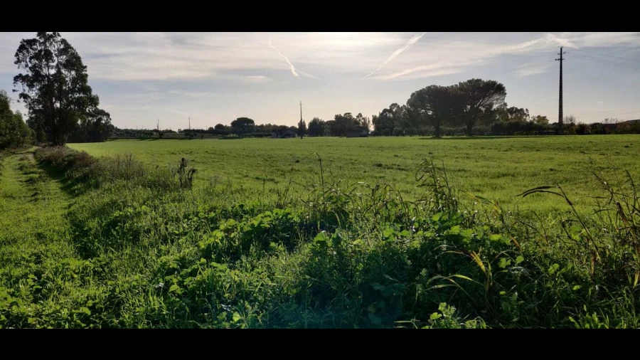 Terreno para Venda em Brogueira, Parceiros de Igreja e Alcorochel