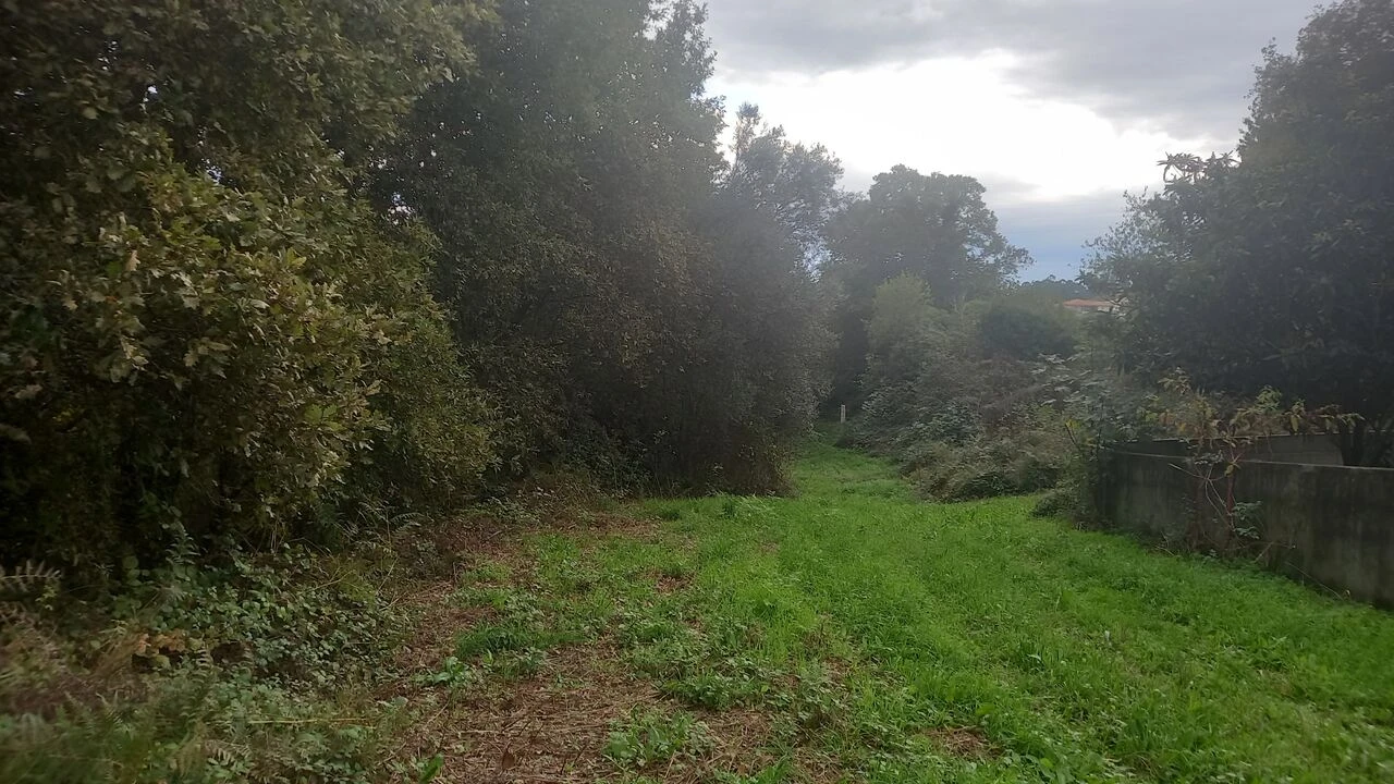 Quinta T8 para Venda em Monção e Troviscoso Foto 1