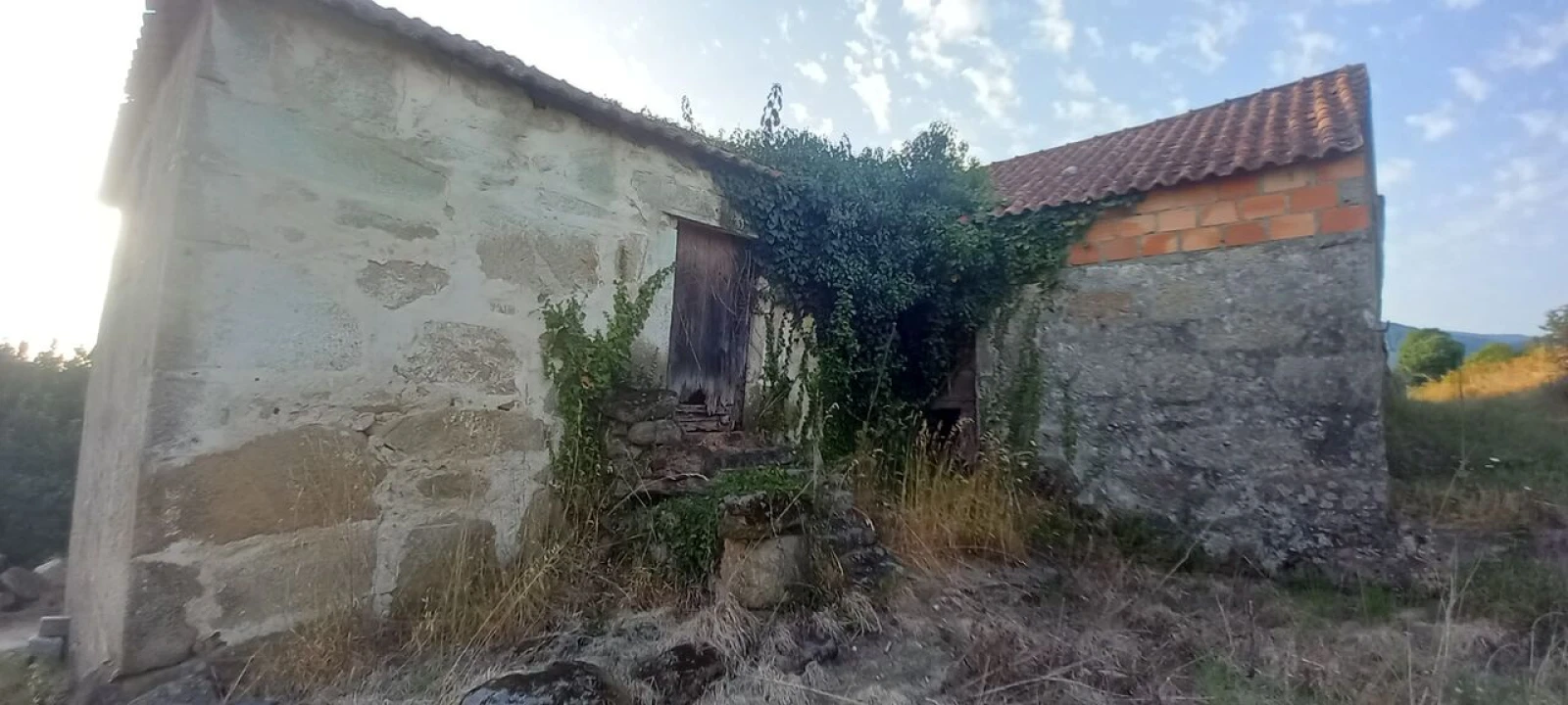 Quinta T2 para Venda em Messegães, Valadares e Sá Foto 4