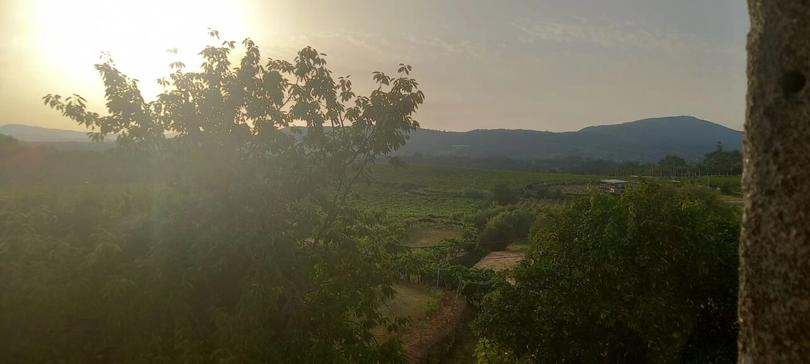 Quinta T2 para Venda em Messegães, Valadares e Sá Foto 8