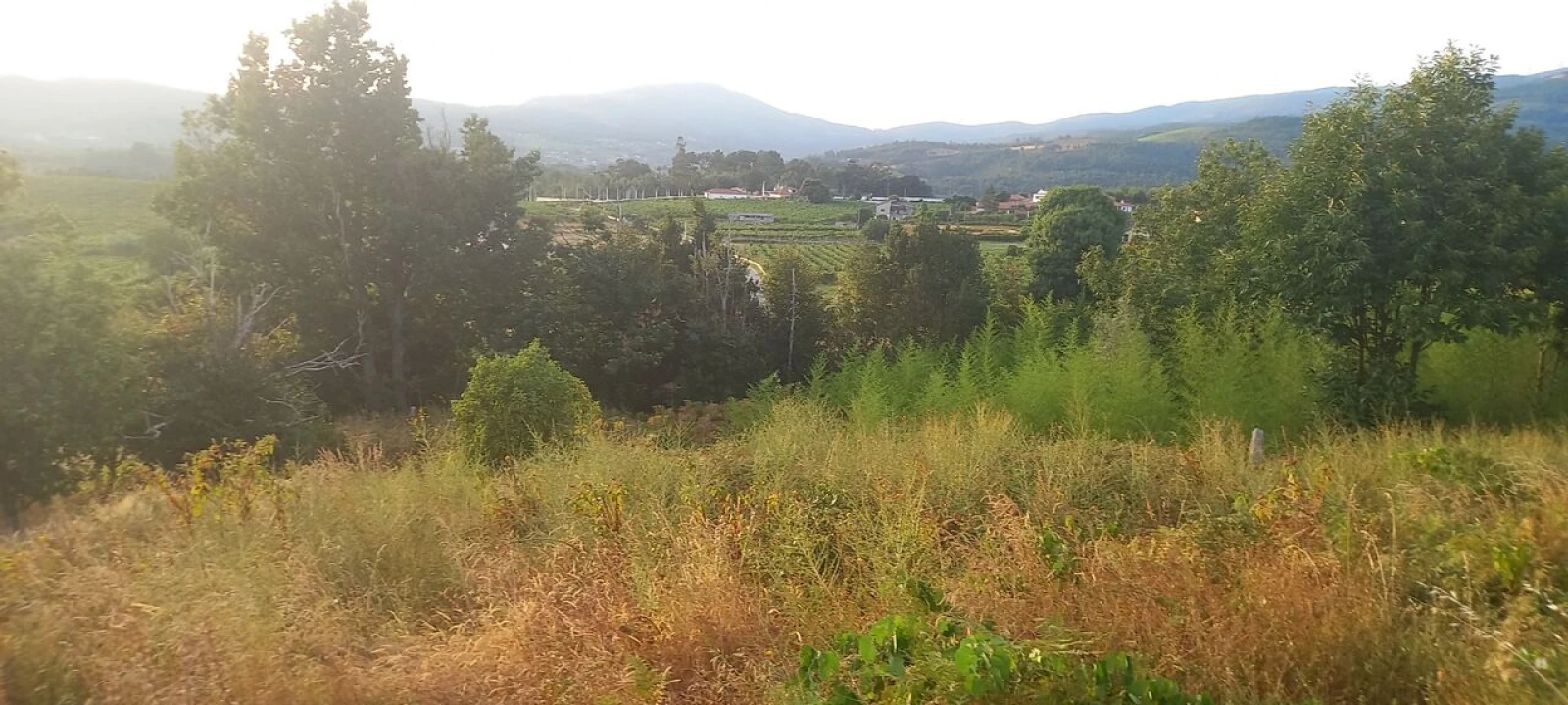 Quinta T2 para Venda em Messegães, Valadares e Sá Foto 11