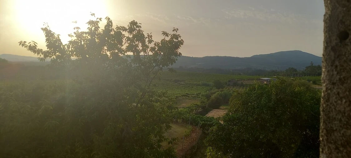 Quinta T2 para Venda em Messegães, Valadares e Sá Foto 8