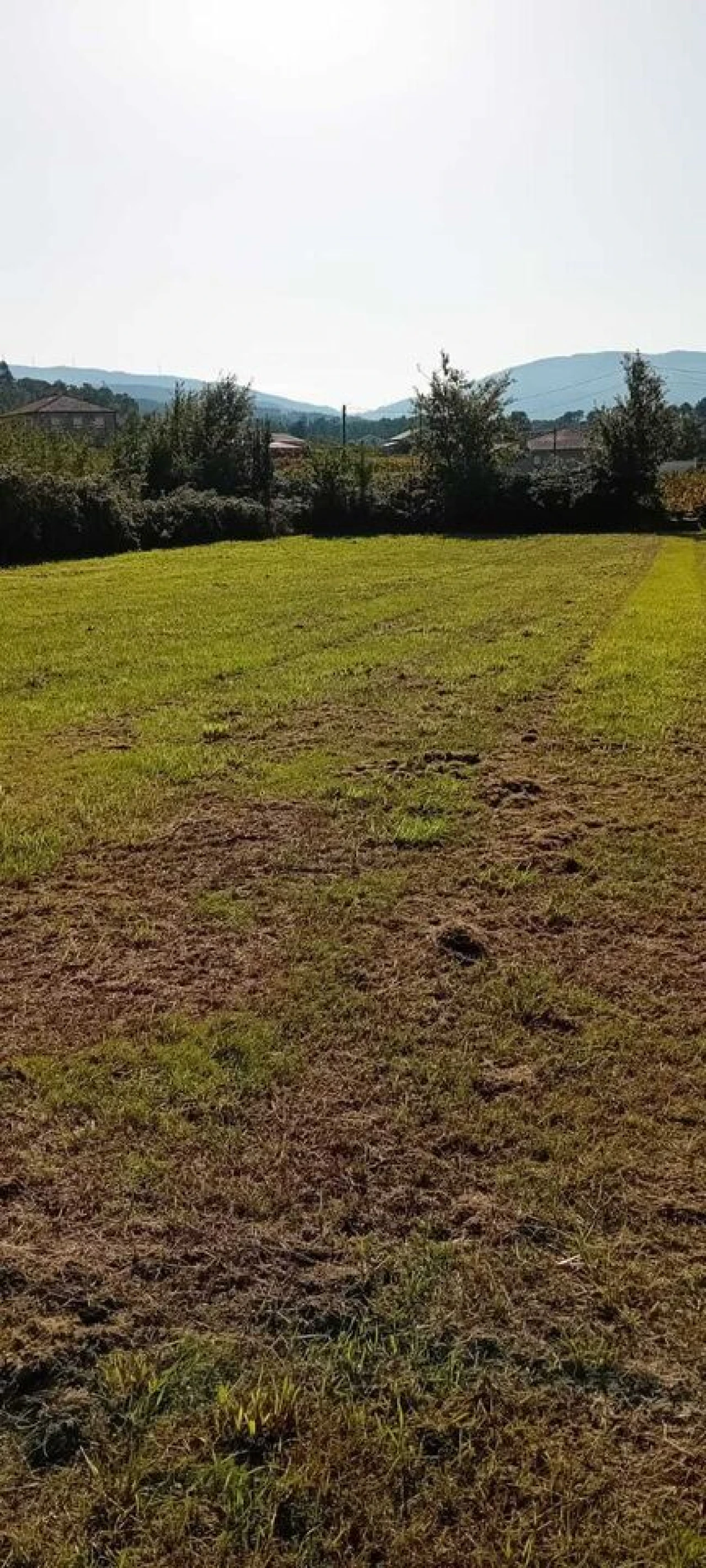 Terreno para Venda em Mazedo e Cortes Foto 2