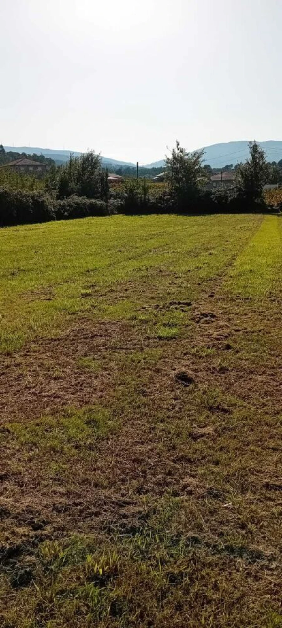 Terreno para Venda em Mazedo e Cortes Foto 2
