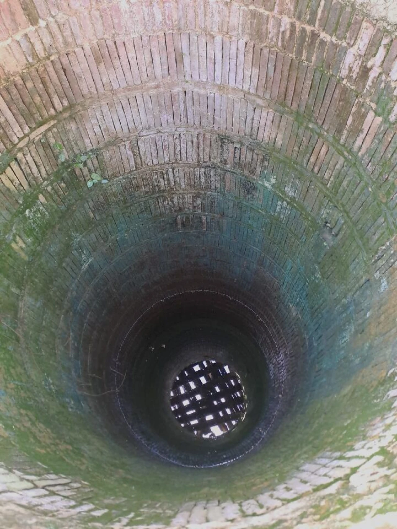 Terreno para Venda em Brogueira, Parceiros de Igreja e Alcorochel Foto 8