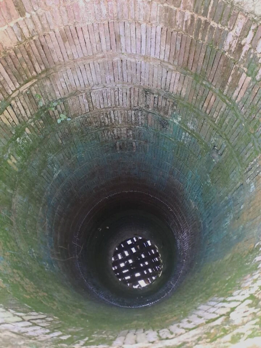 Terreno para Venda em Brogueira, Parceiros de Igreja e Alcorochel Foto 8