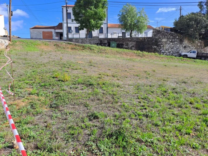 Terreno para Venda em Brogueira, Parceiros de Igreja e Alcorochel Foto 6